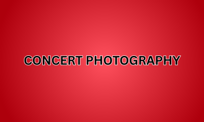 Concert Photography